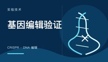 丁香实验_首页前沿资讯图