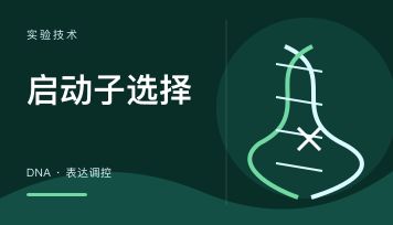丁香实验_首页前沿资讯图