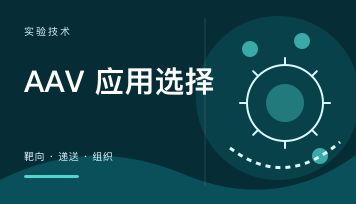 丁香实验_首页前沿资讯图