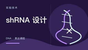 丁香实验_首页前沿资讯图