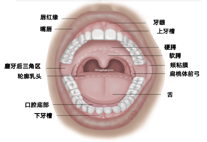 图片预览