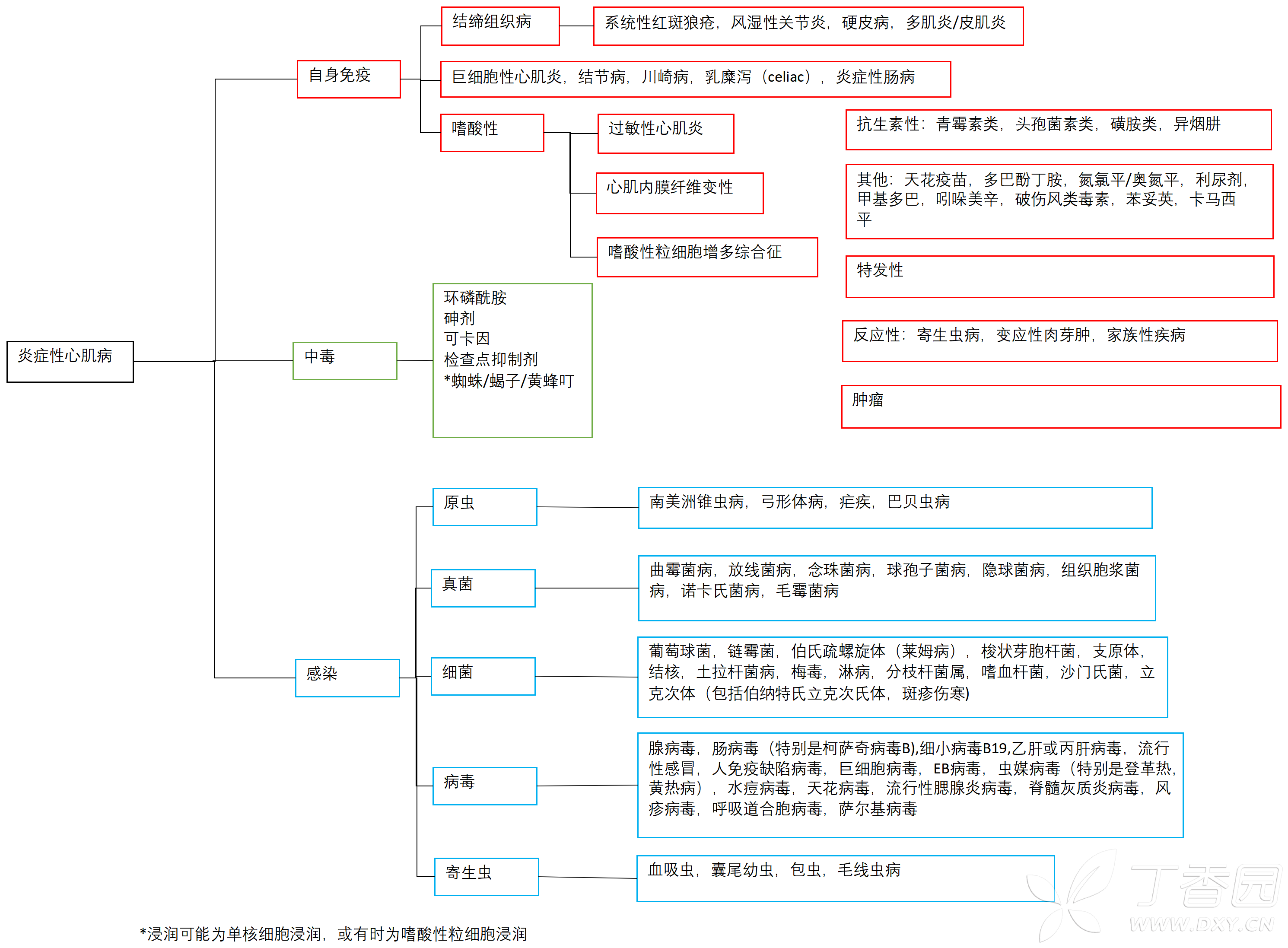 图片预览