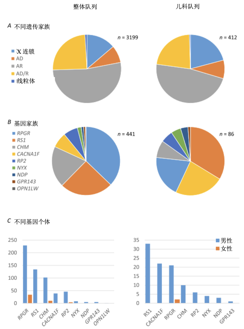 图片预览