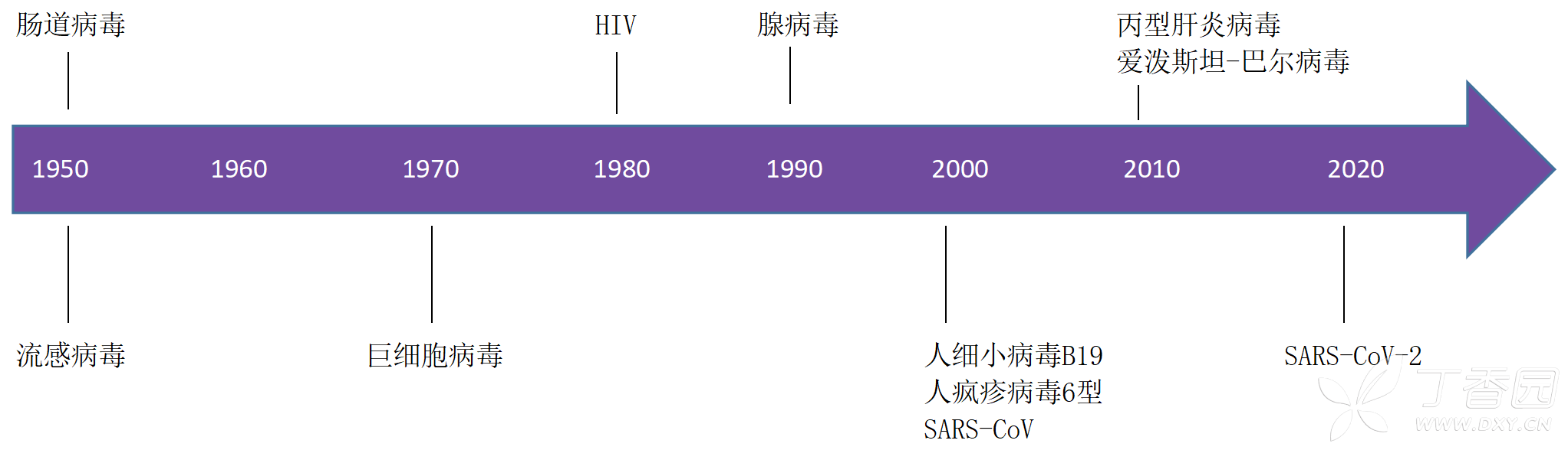 图片预览
