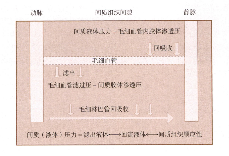图片预览