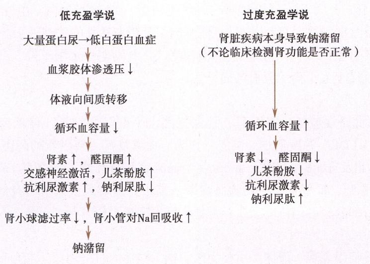 图片预览