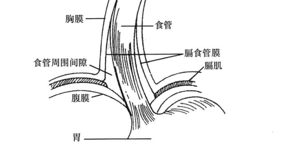 图片预览