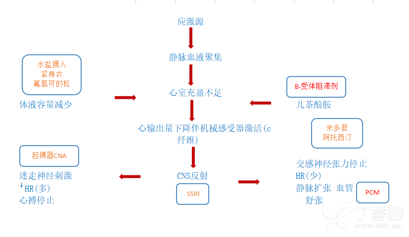 图片预览