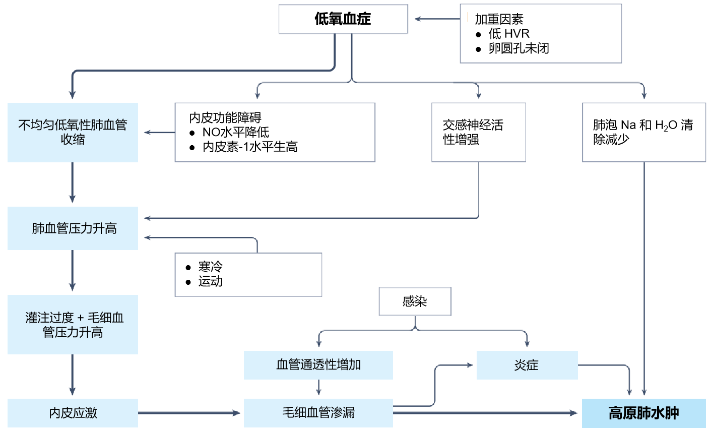 图片预览
