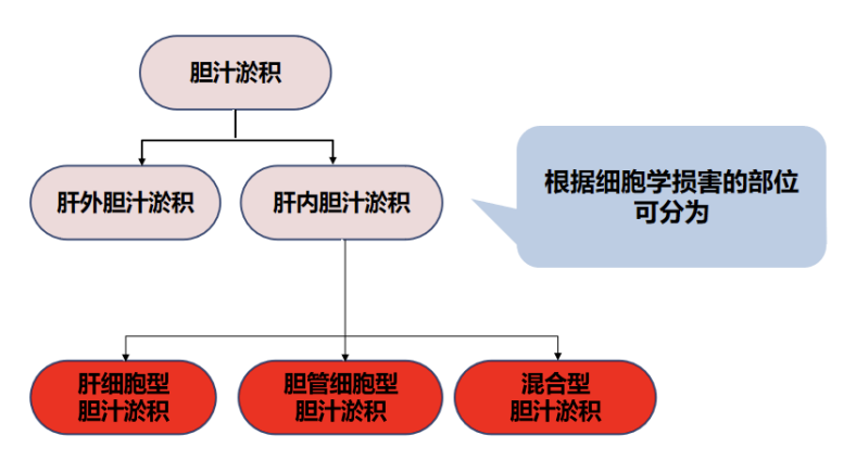 图片预览