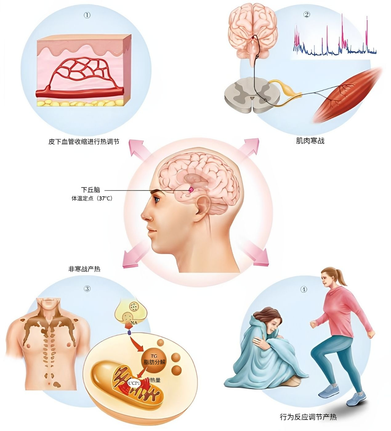 图片预览