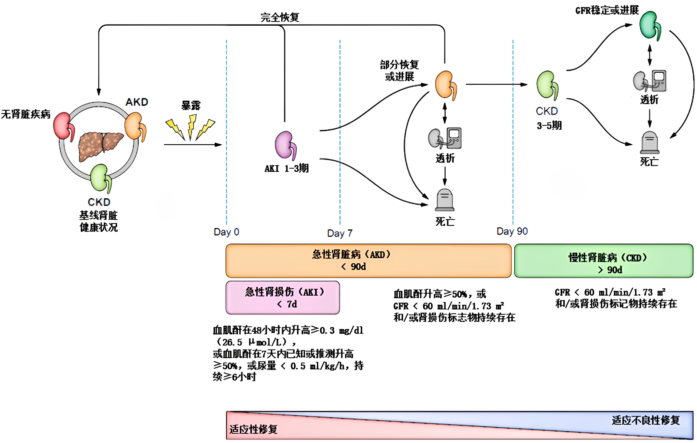 图片预览