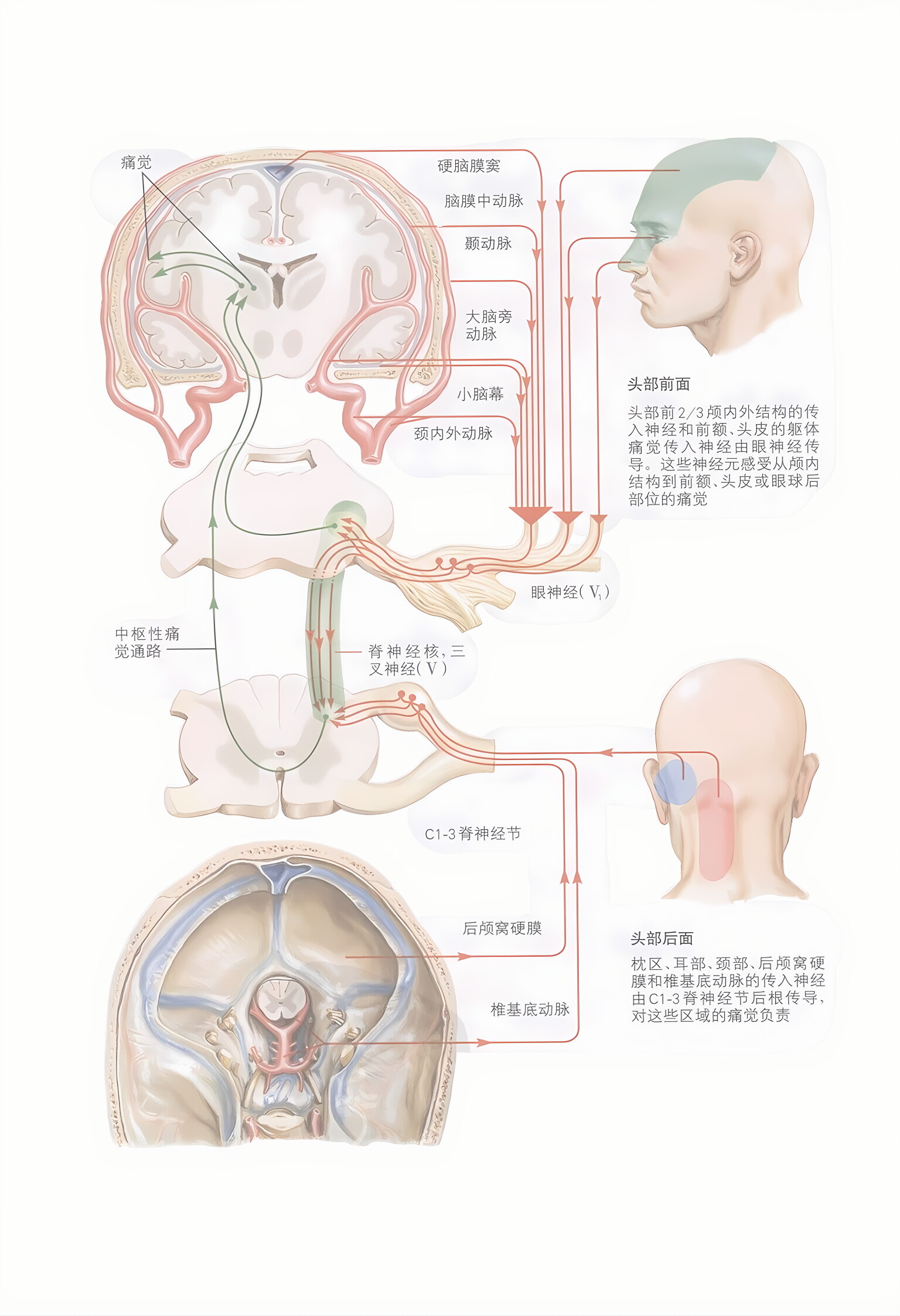 图片预览