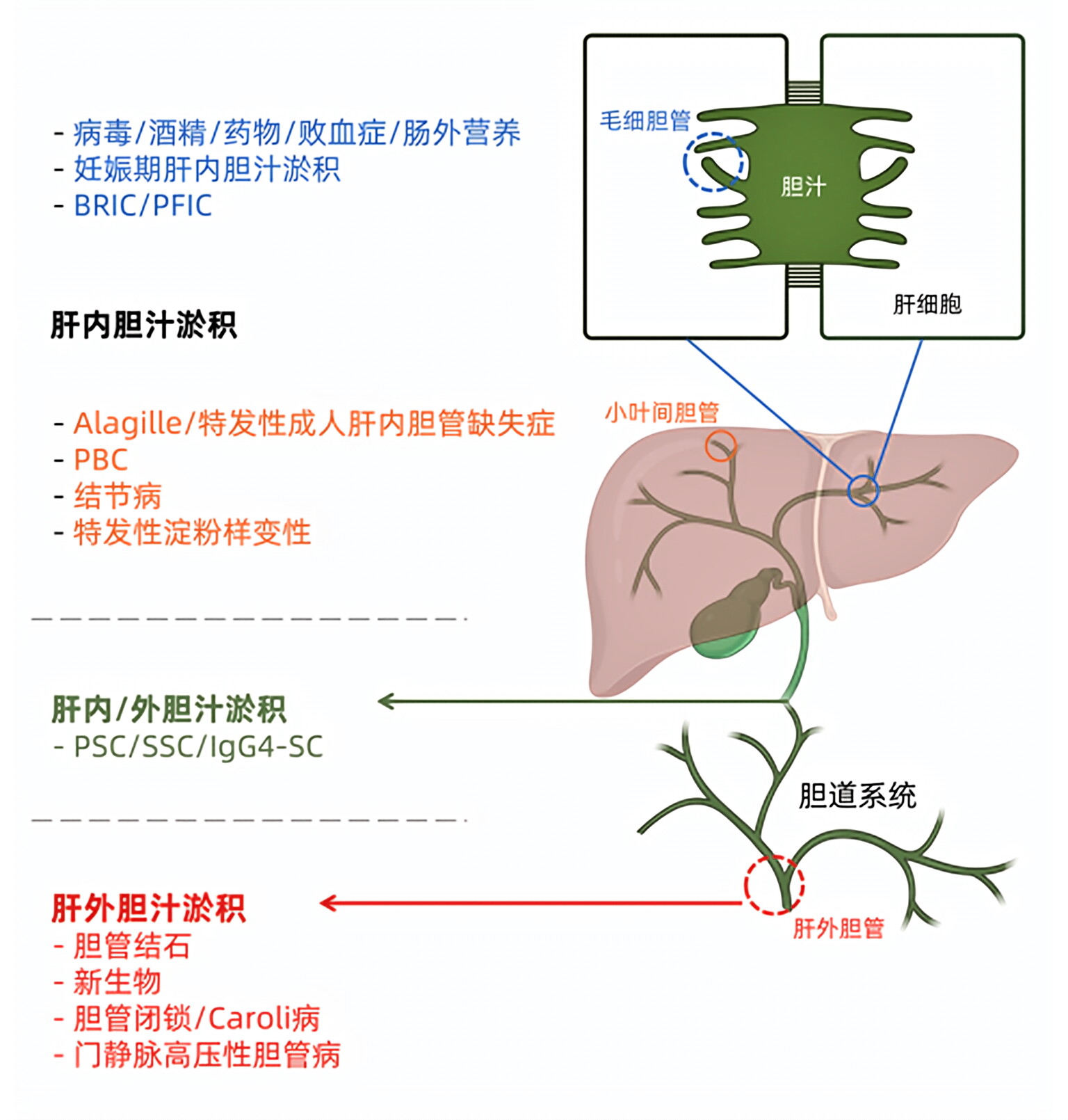 图片预览