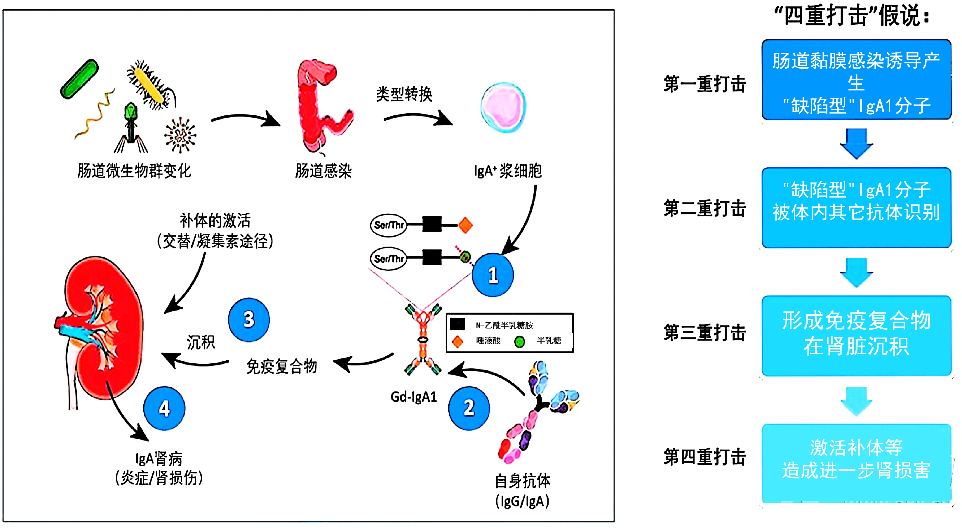 图片预览