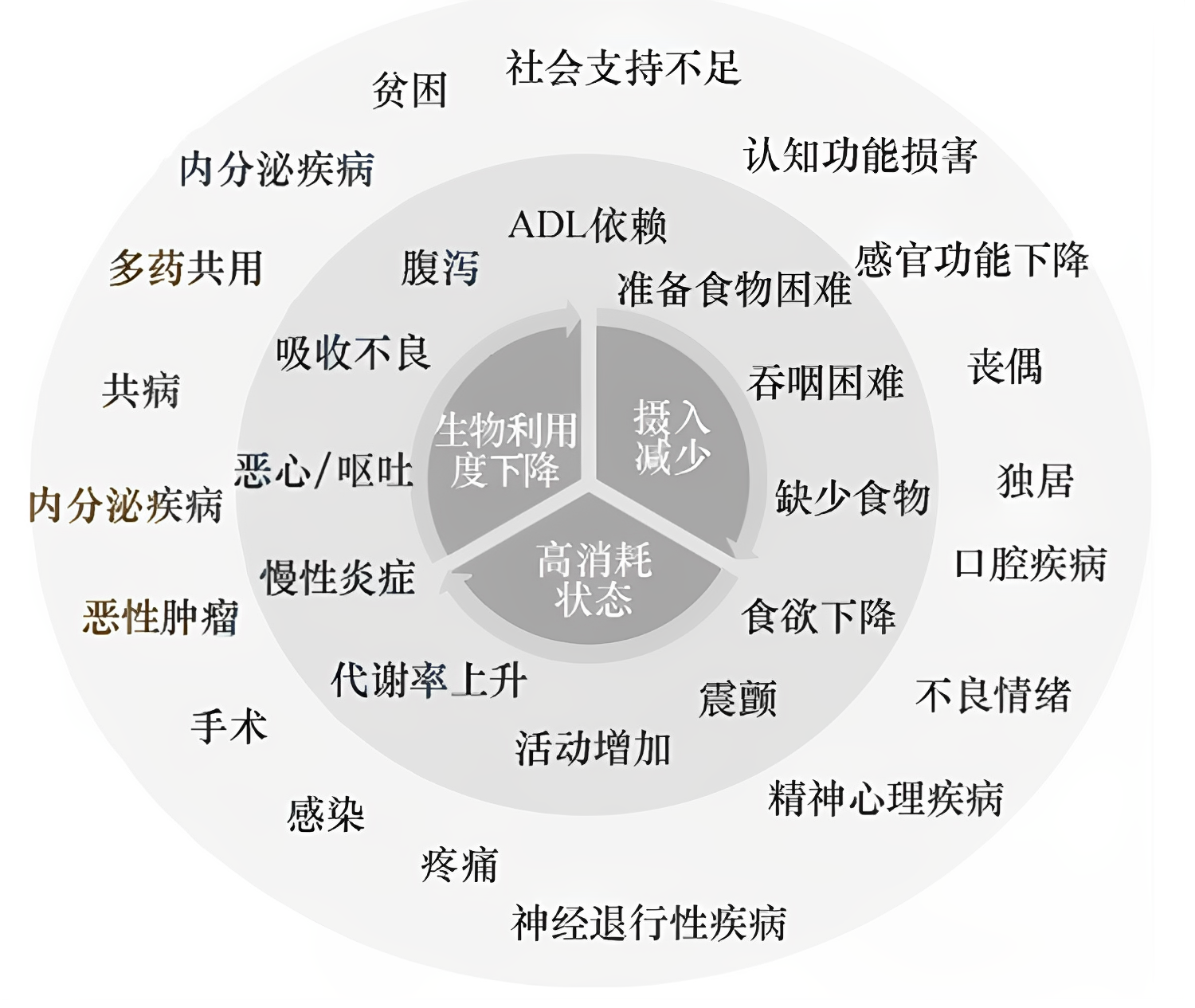 图片预览