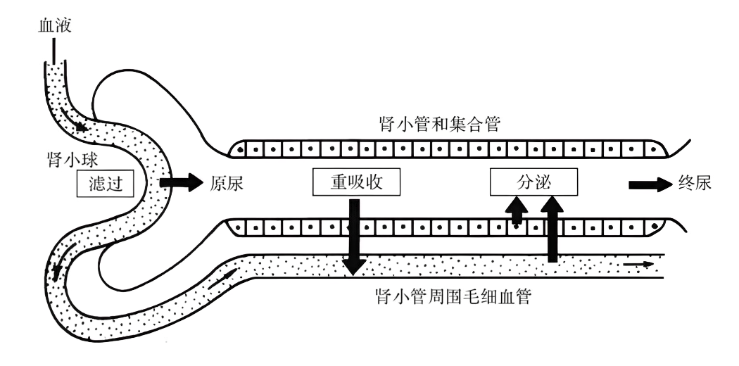 图片预览