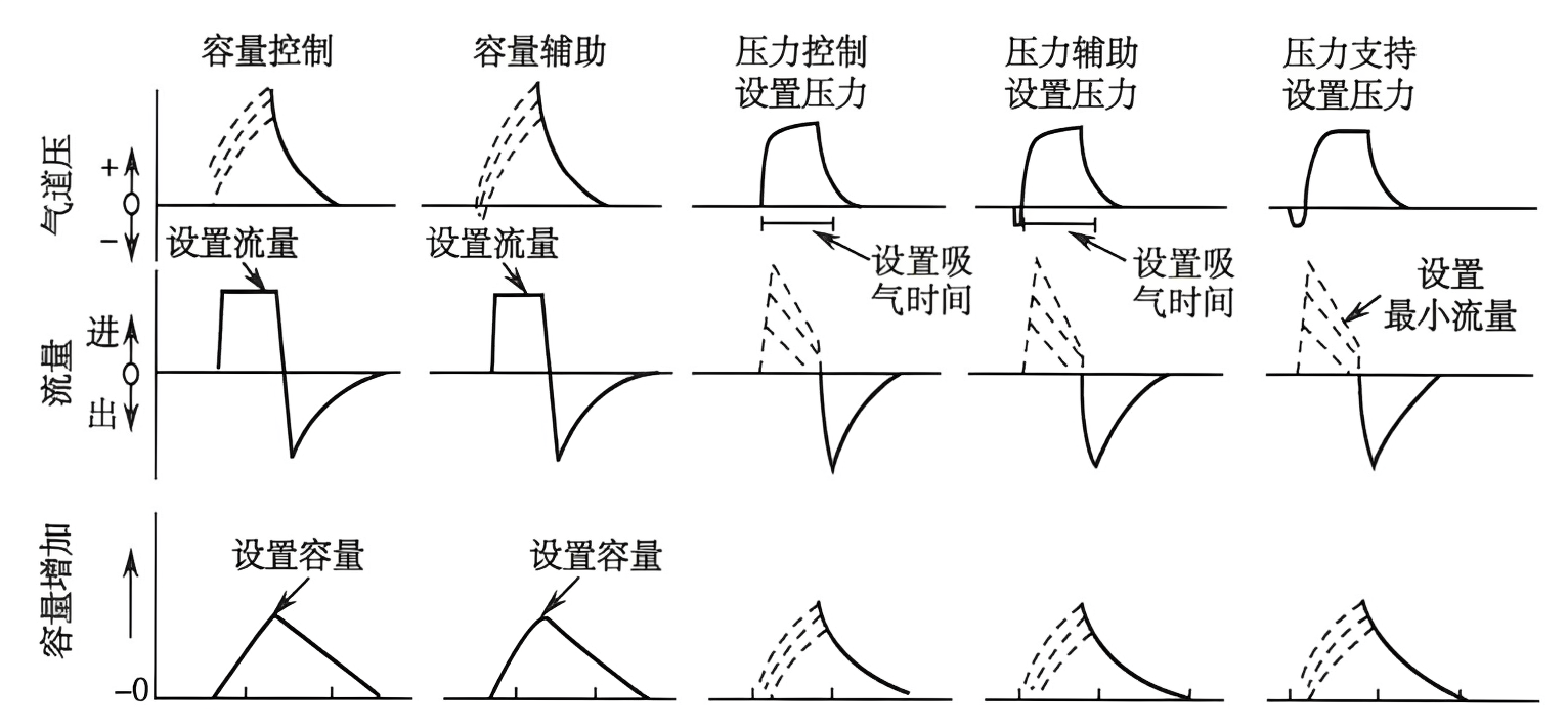 图片预览