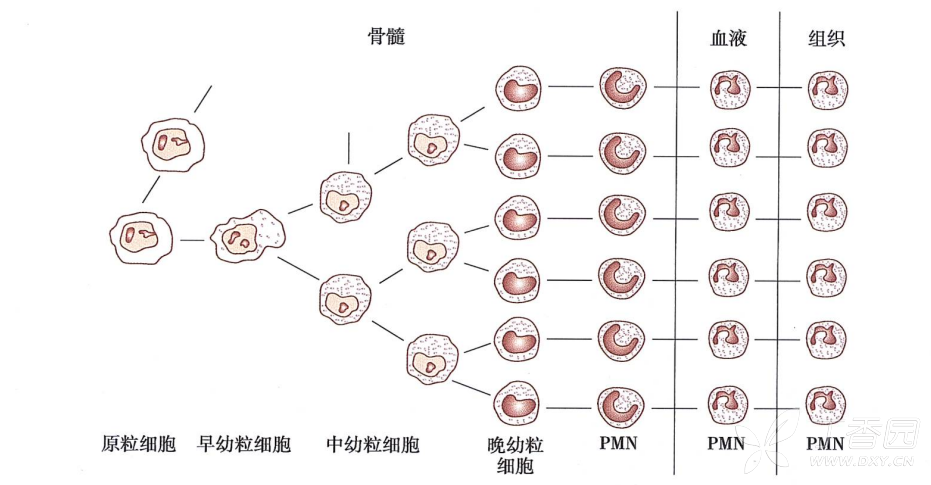 图片预览