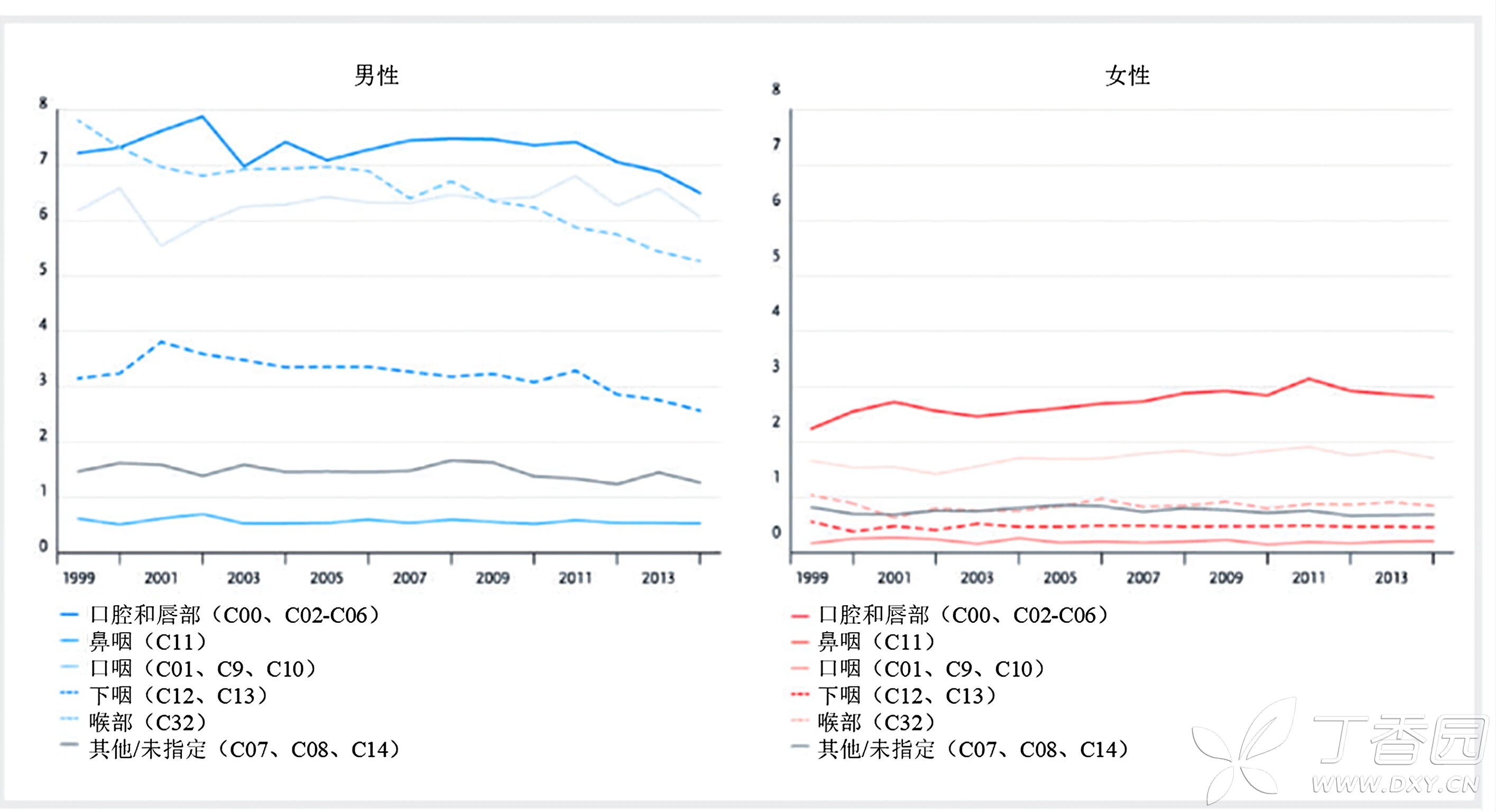 图片预览