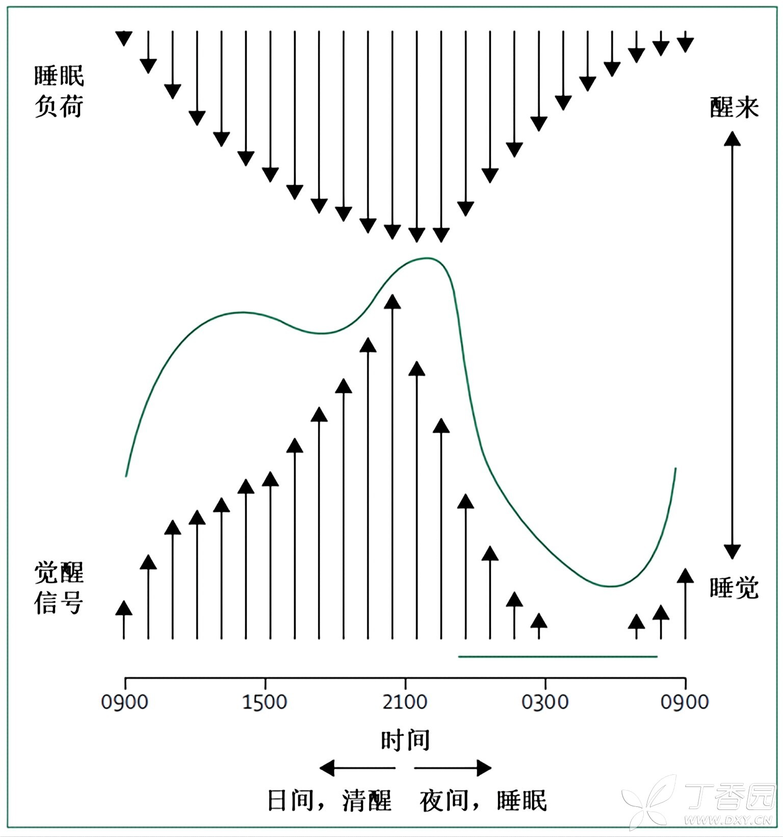 图片预览