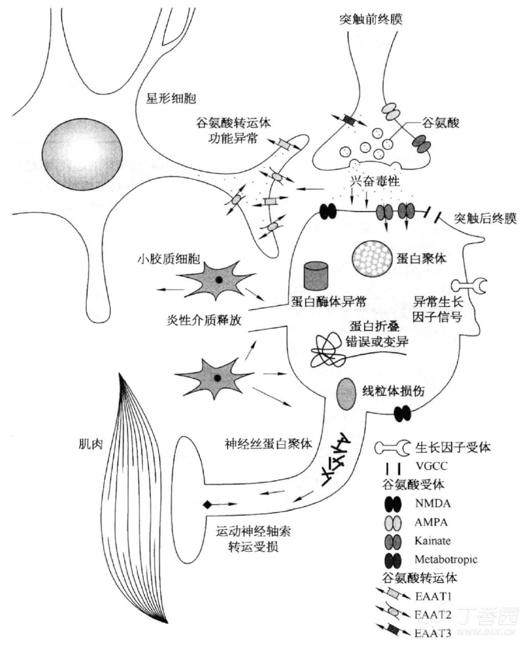 图片预览