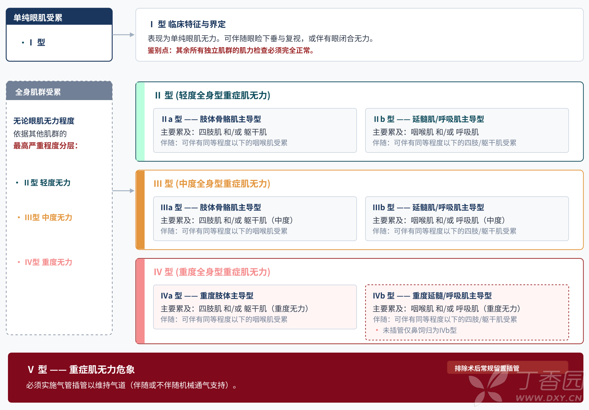 图片预览