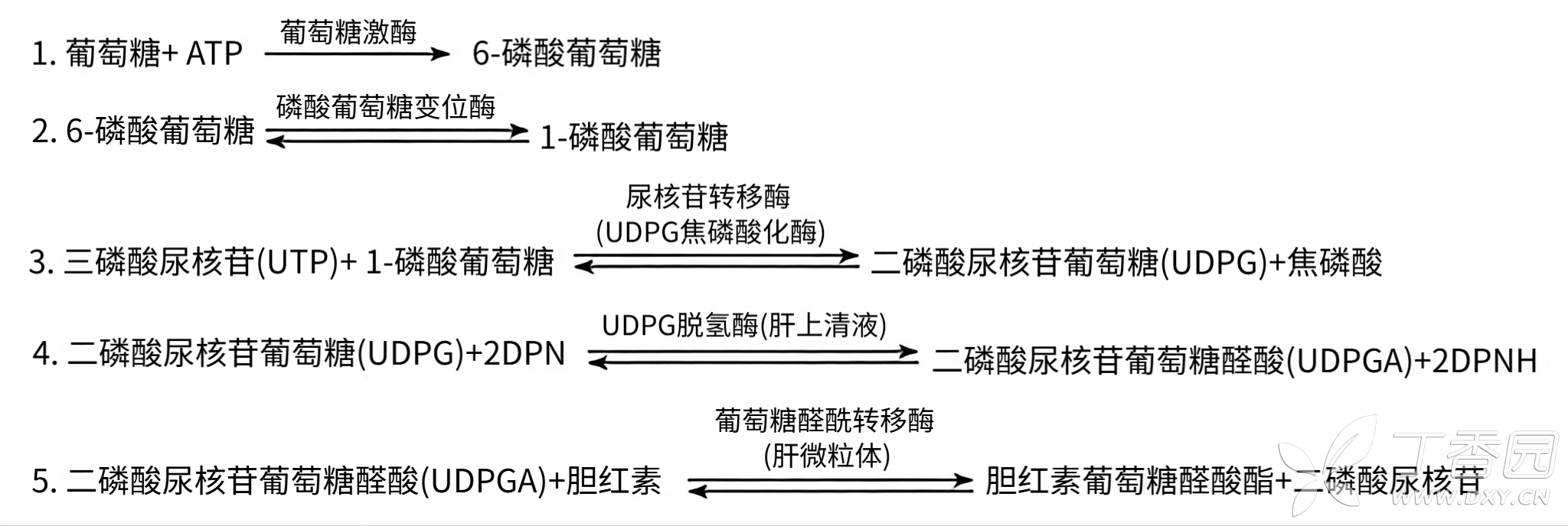 图片预览