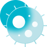 Disease Analysis