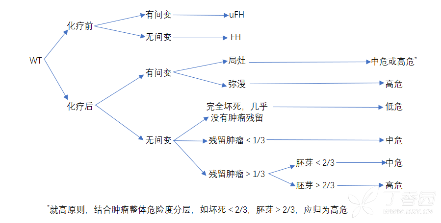 图片预览