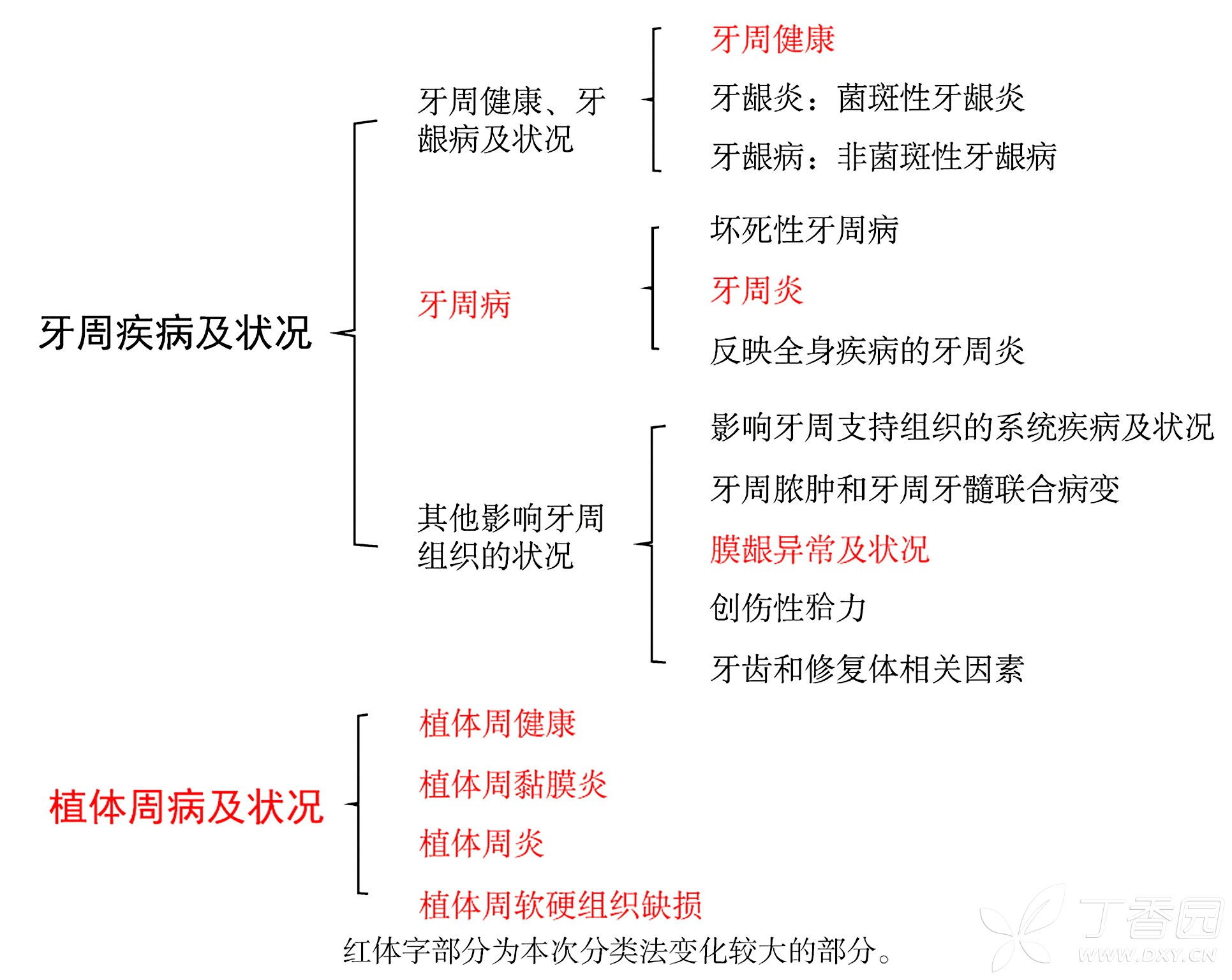 图片预览