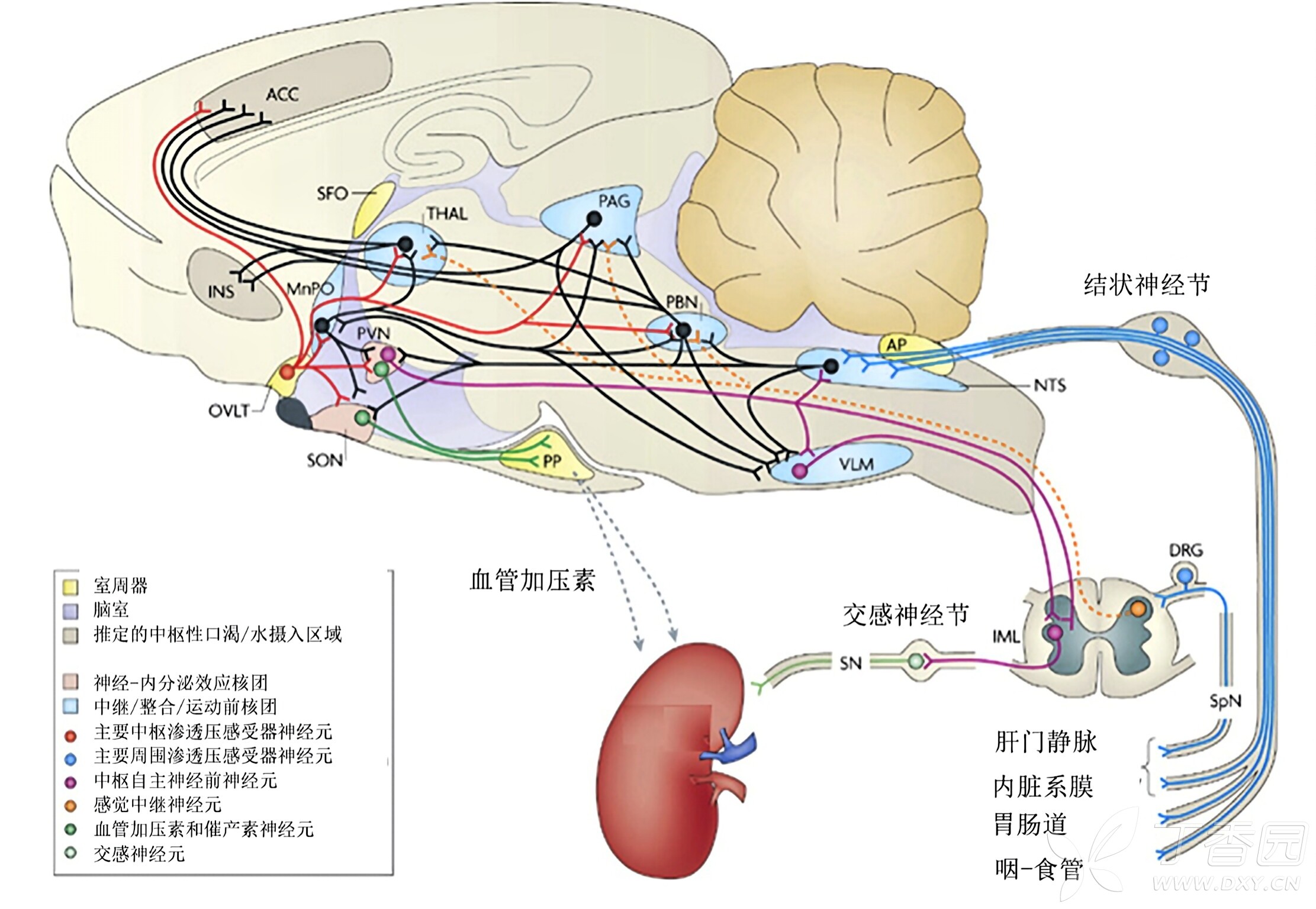 图片预览