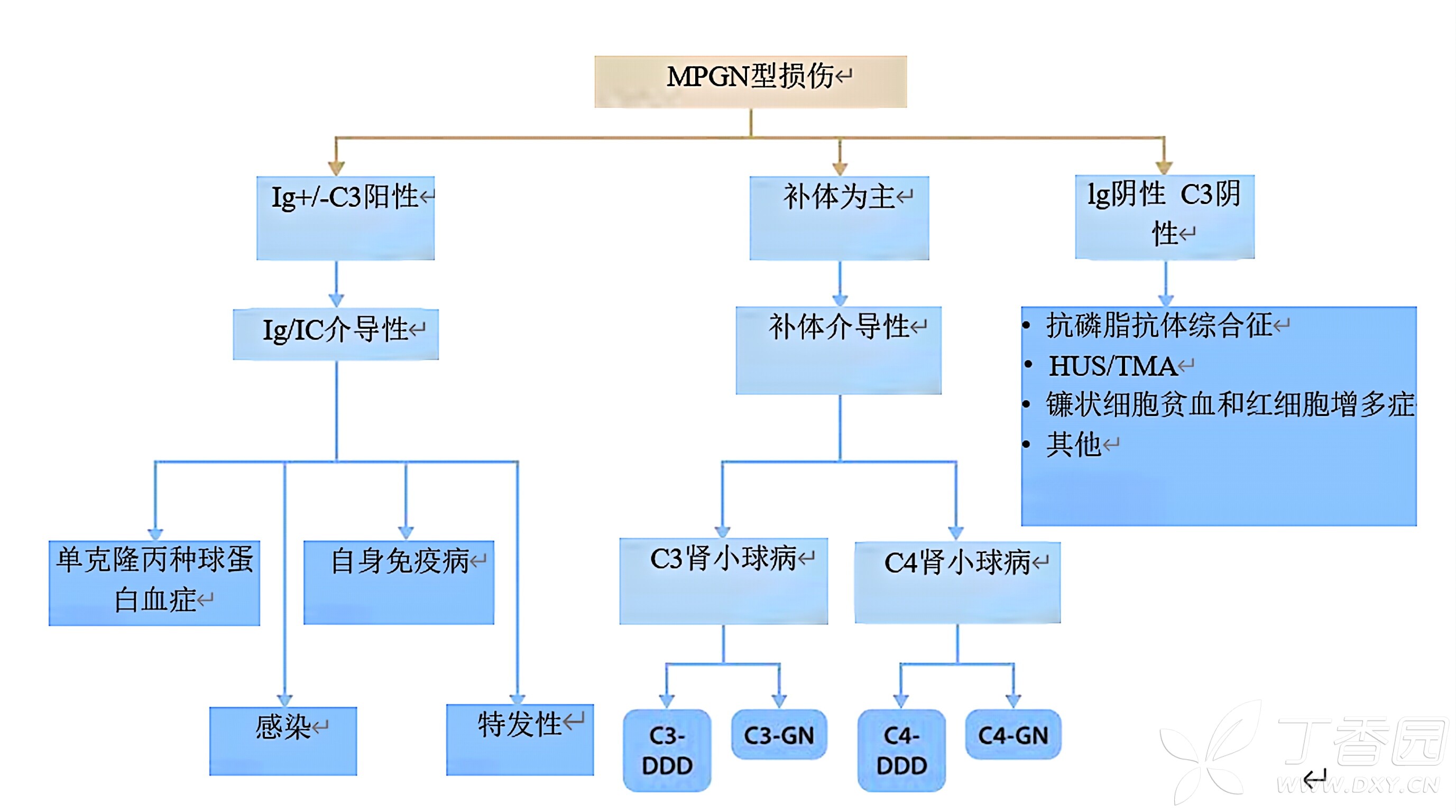 图片预览