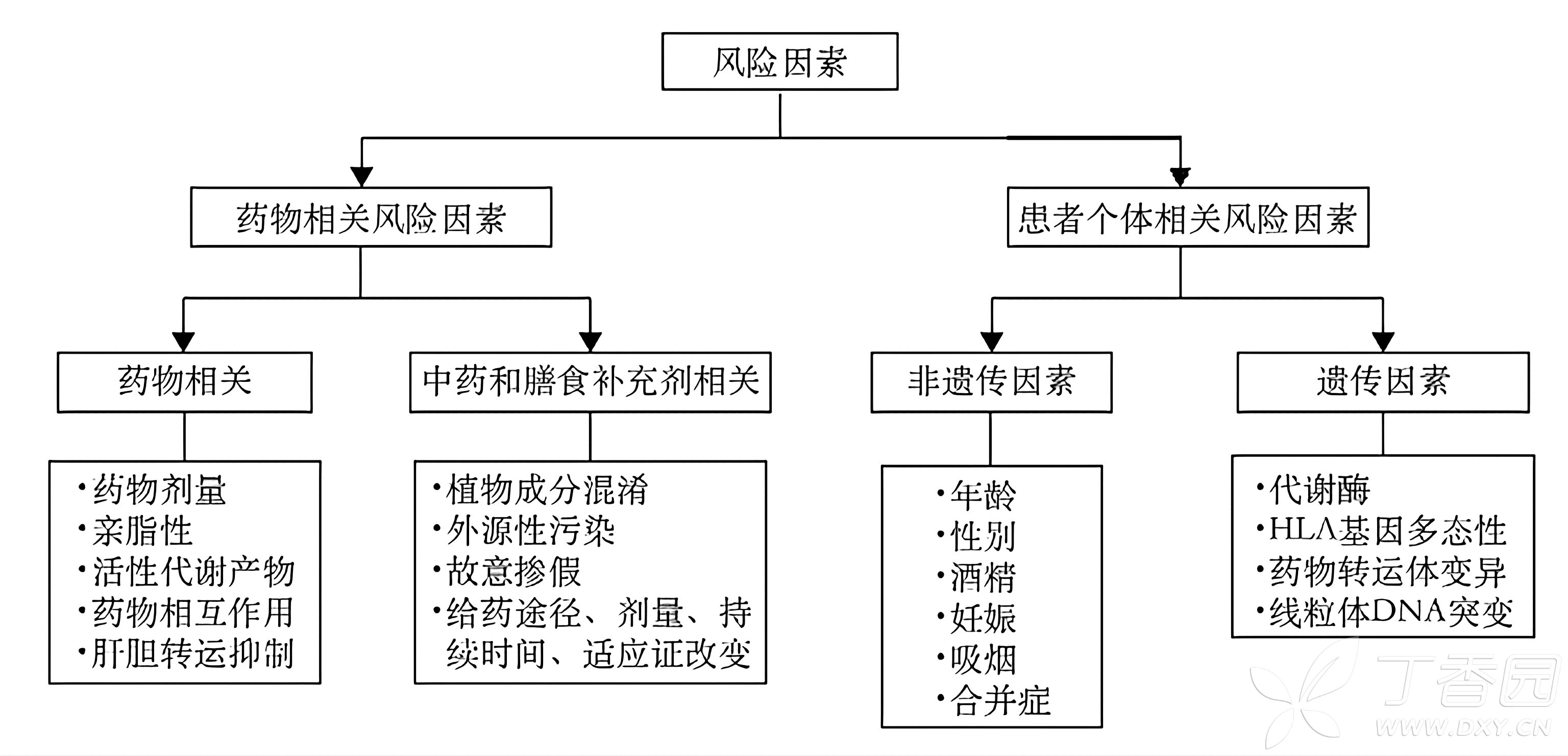 图片预览