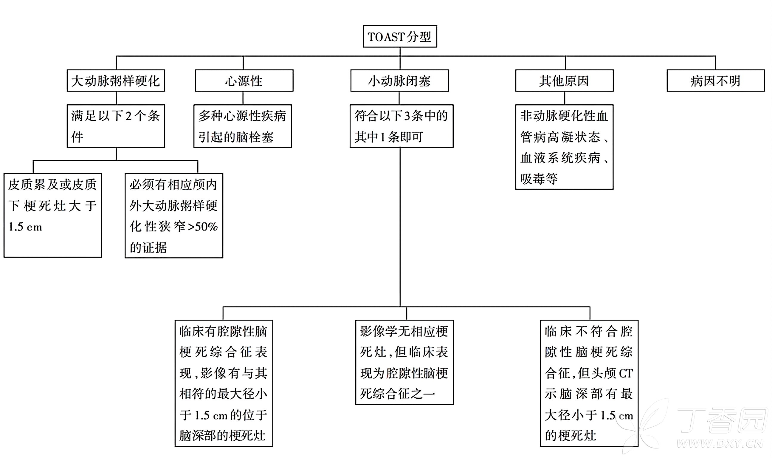 图片预览