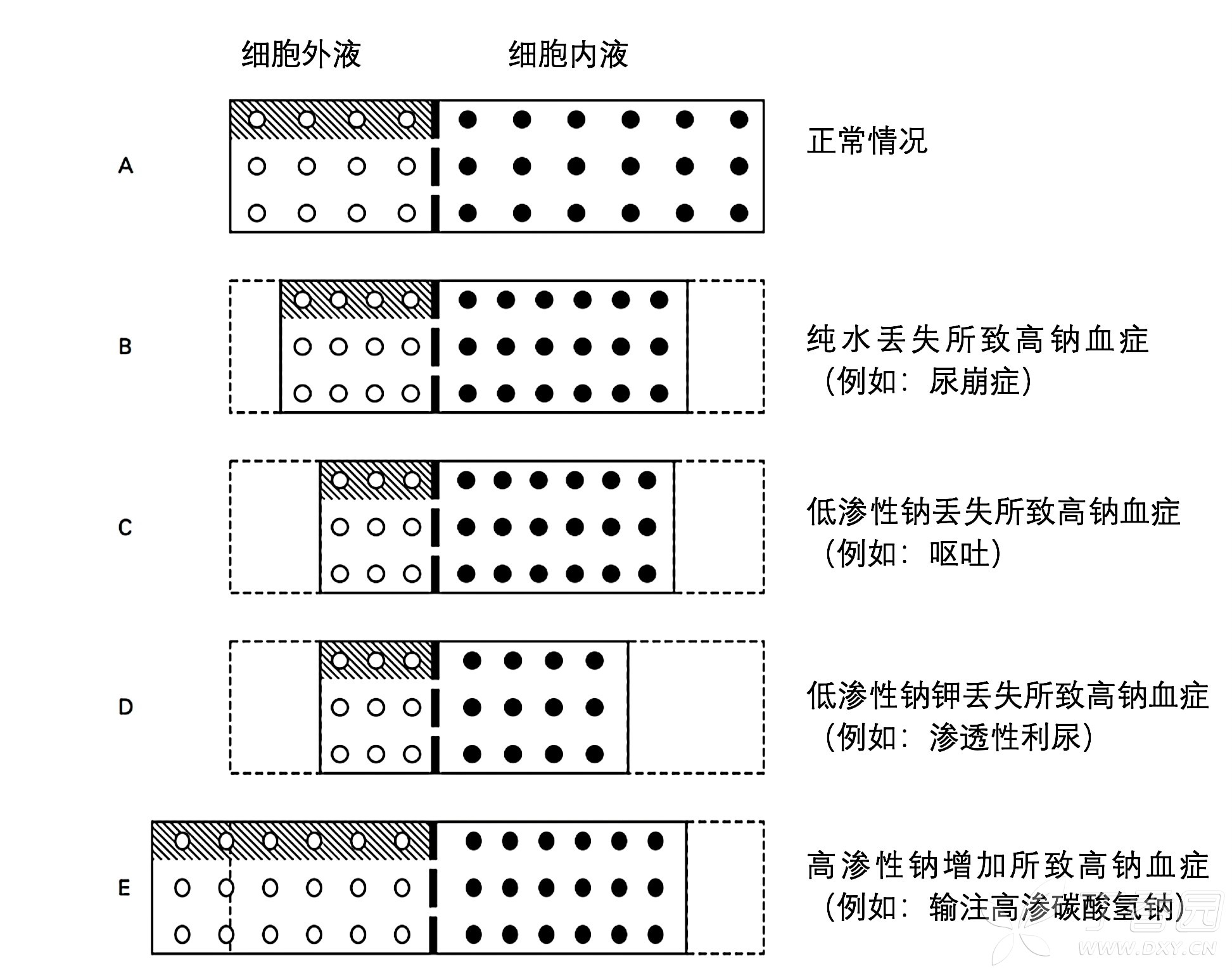 图片预览
