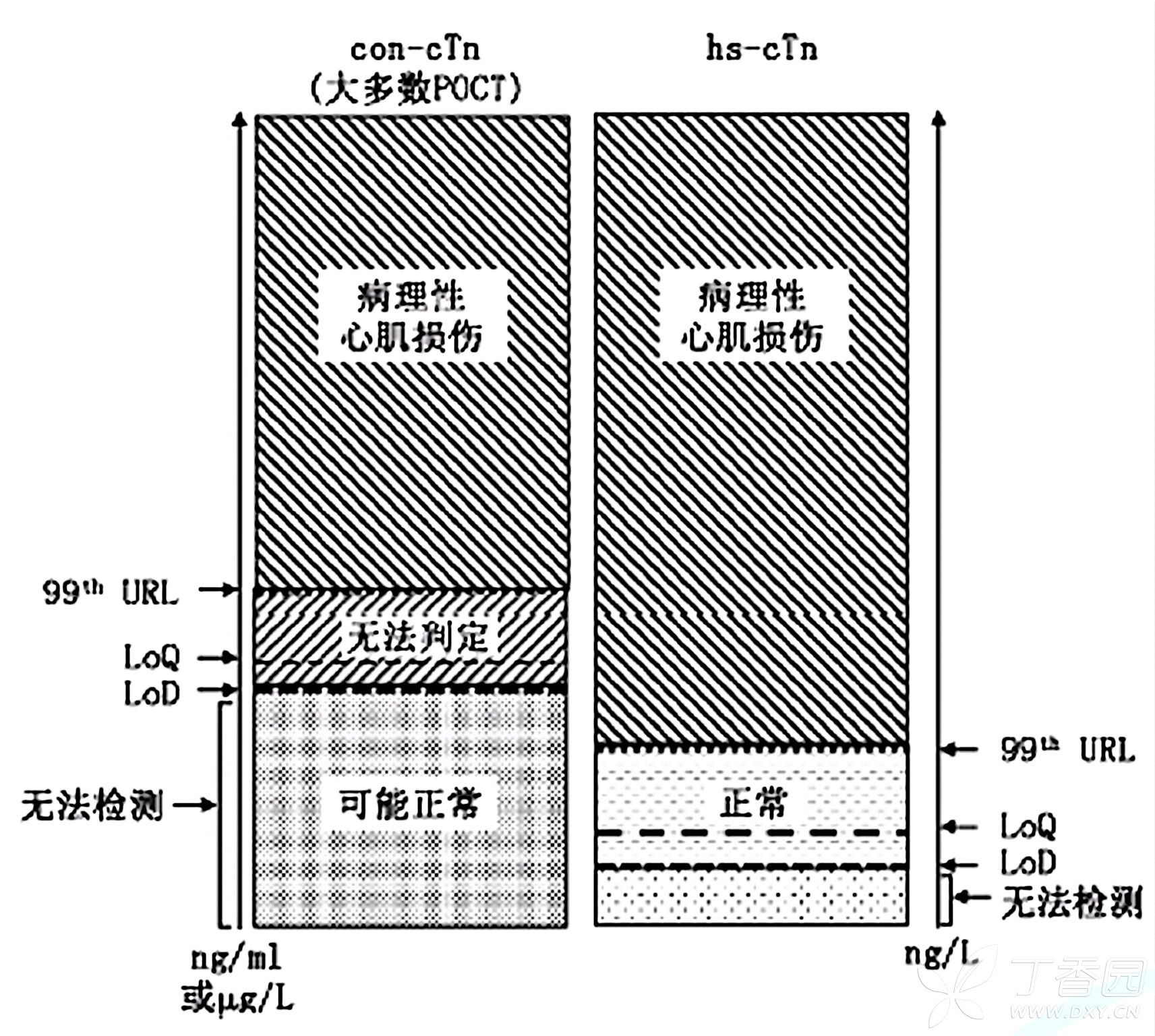 图片预览
