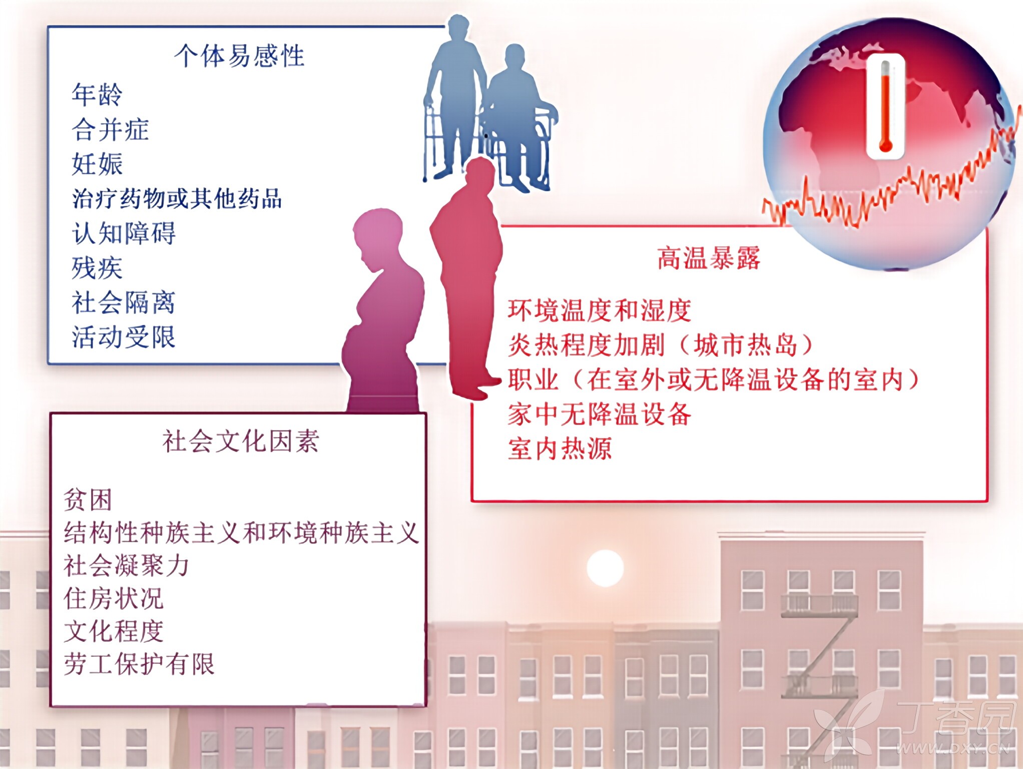 图片预览