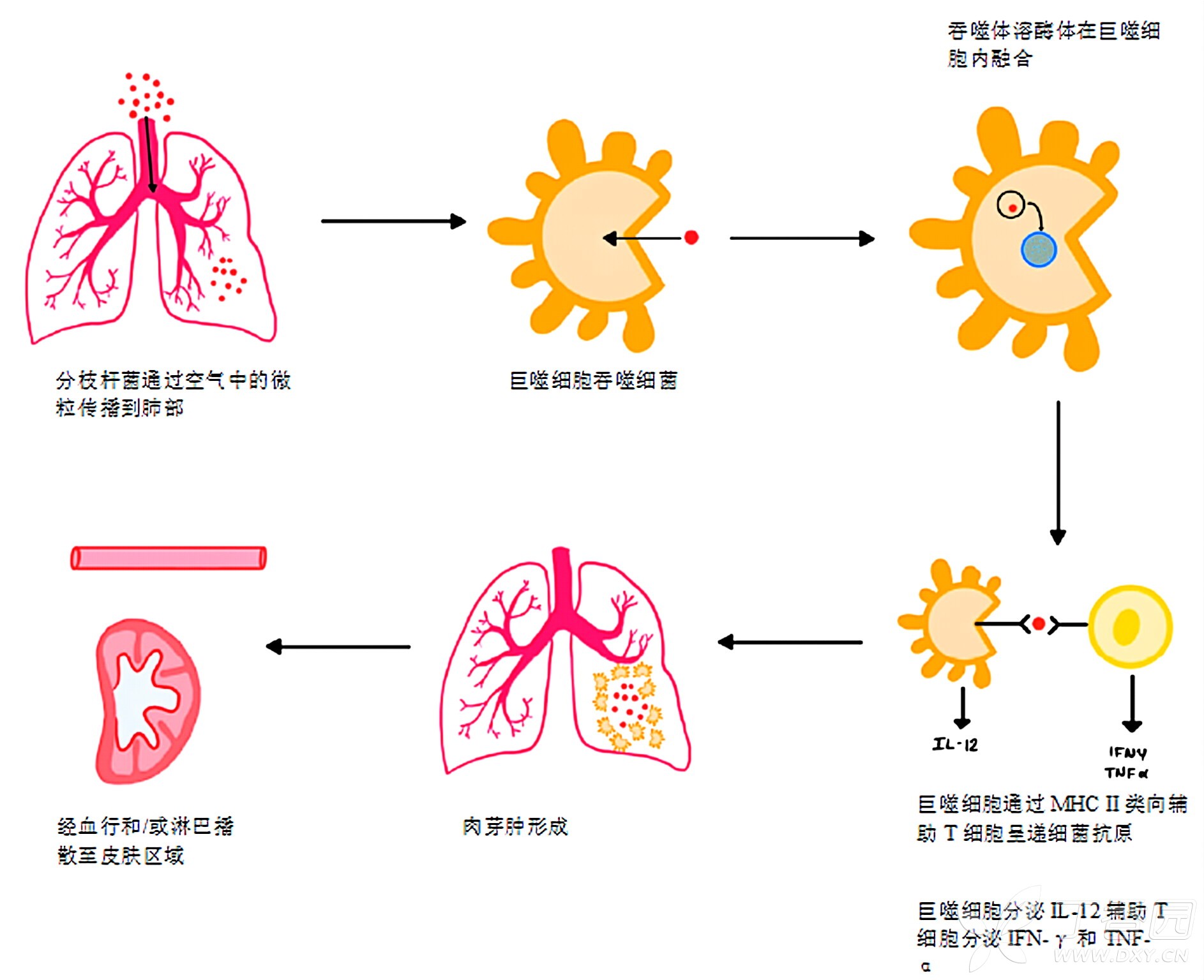 图片预览