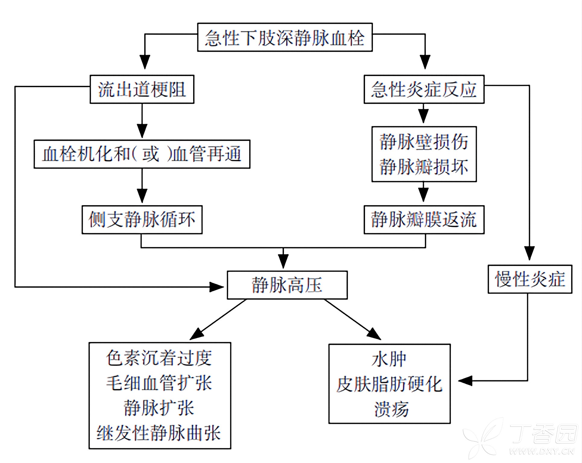 图片预览