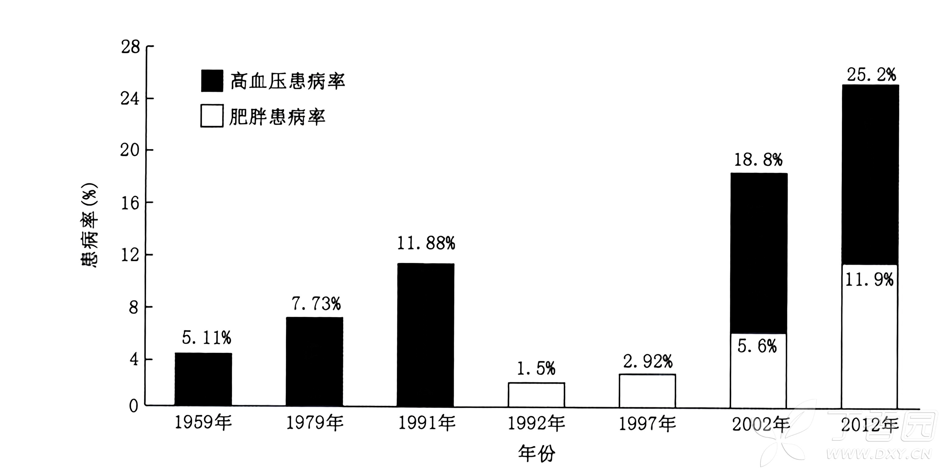 图片预览