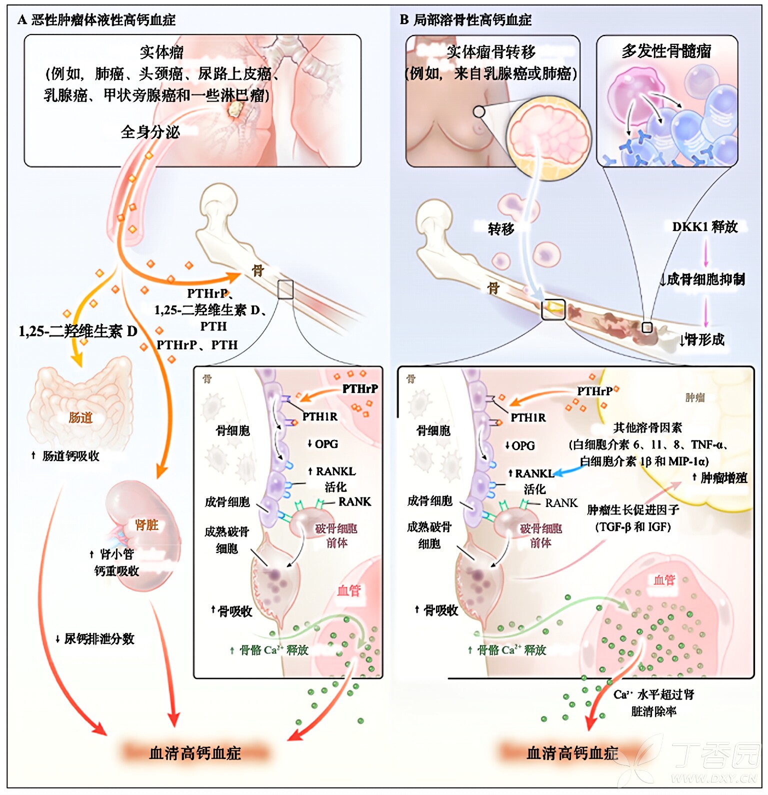 图片预览