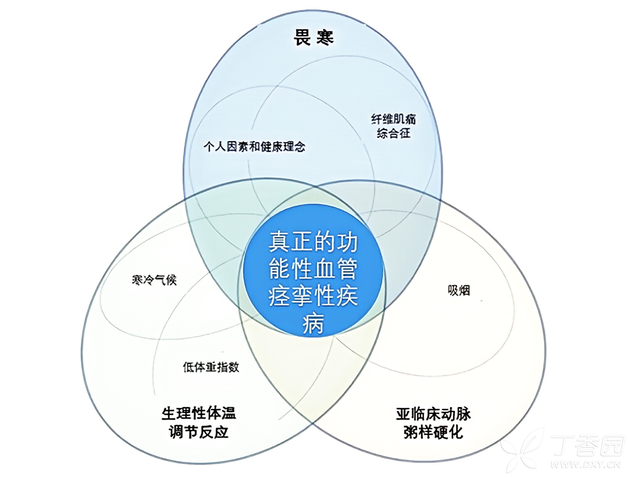 图片预览