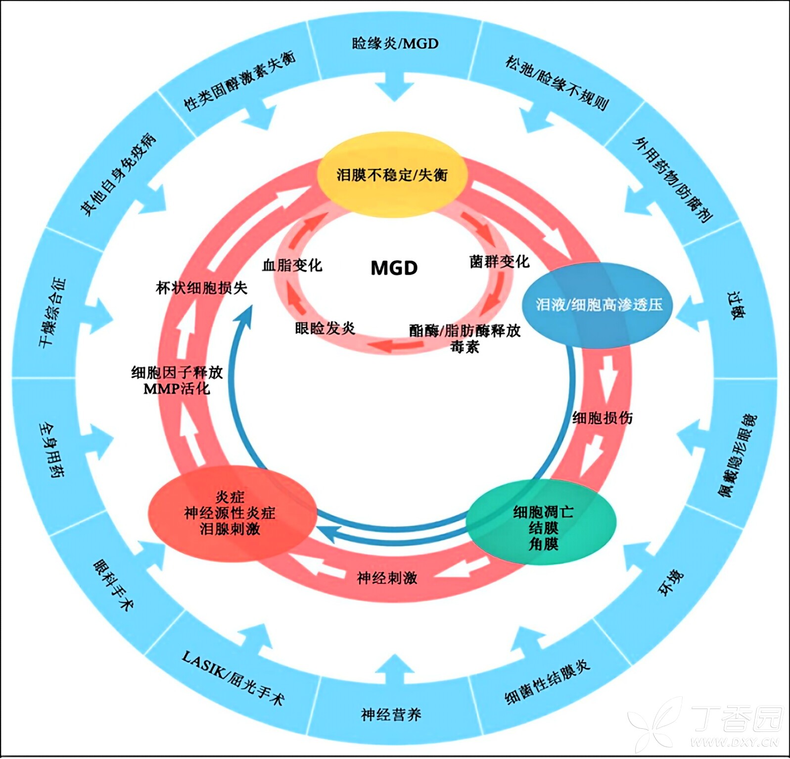 图片预览