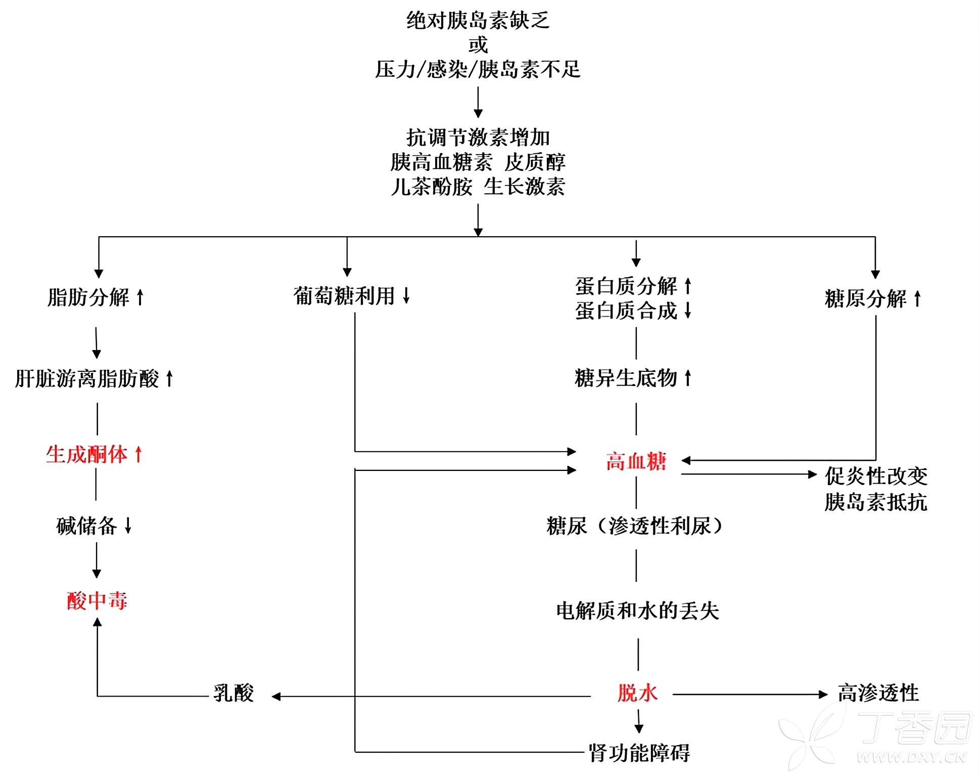 糖尿病酮症酸中毒