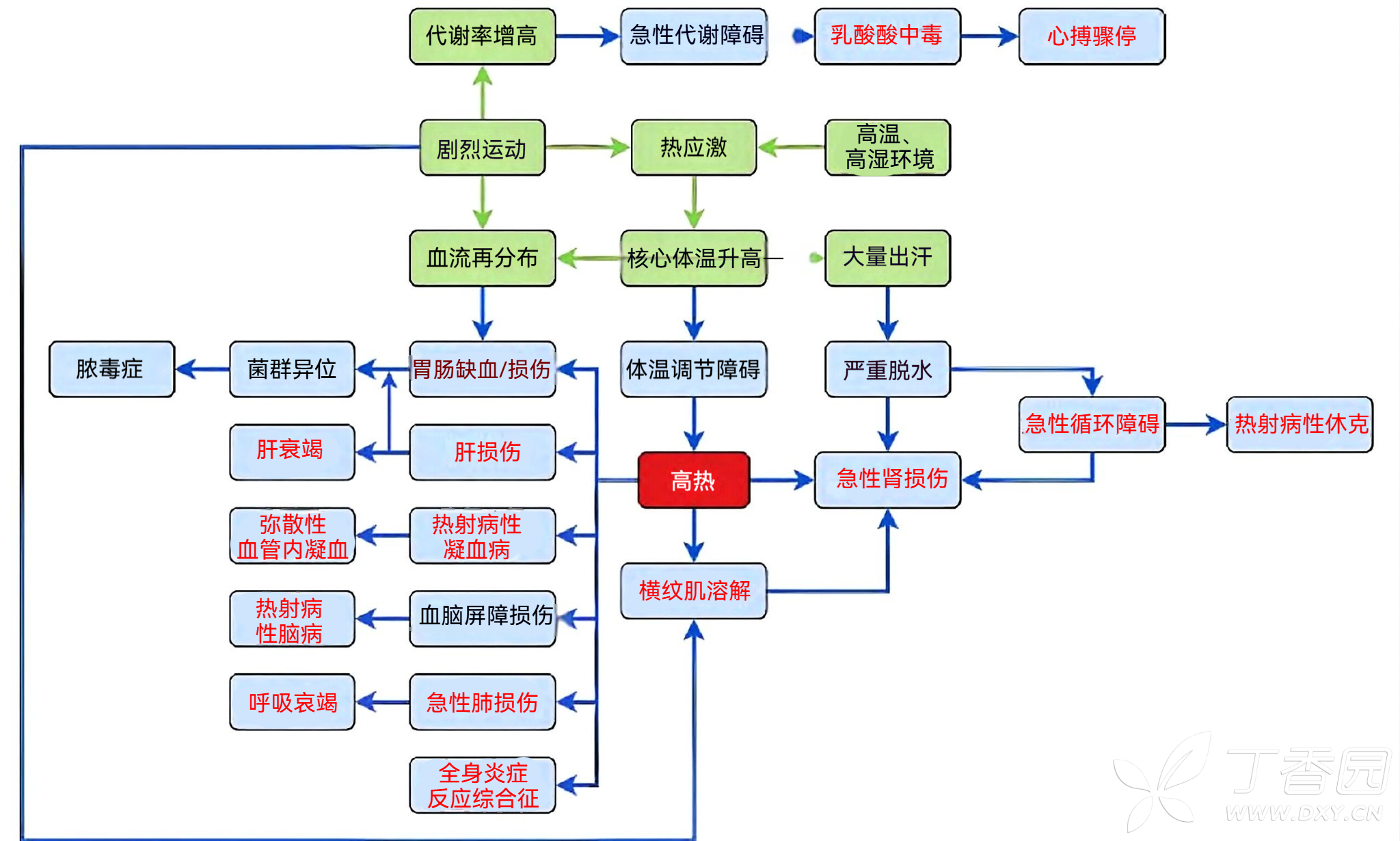 图片预览