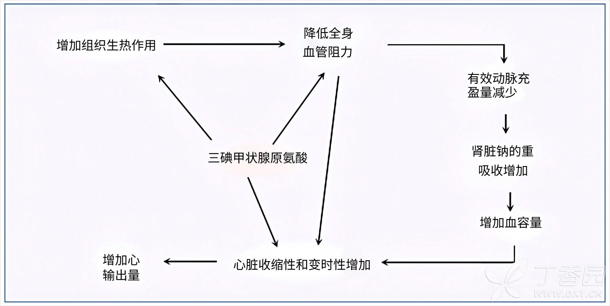 图片预览
