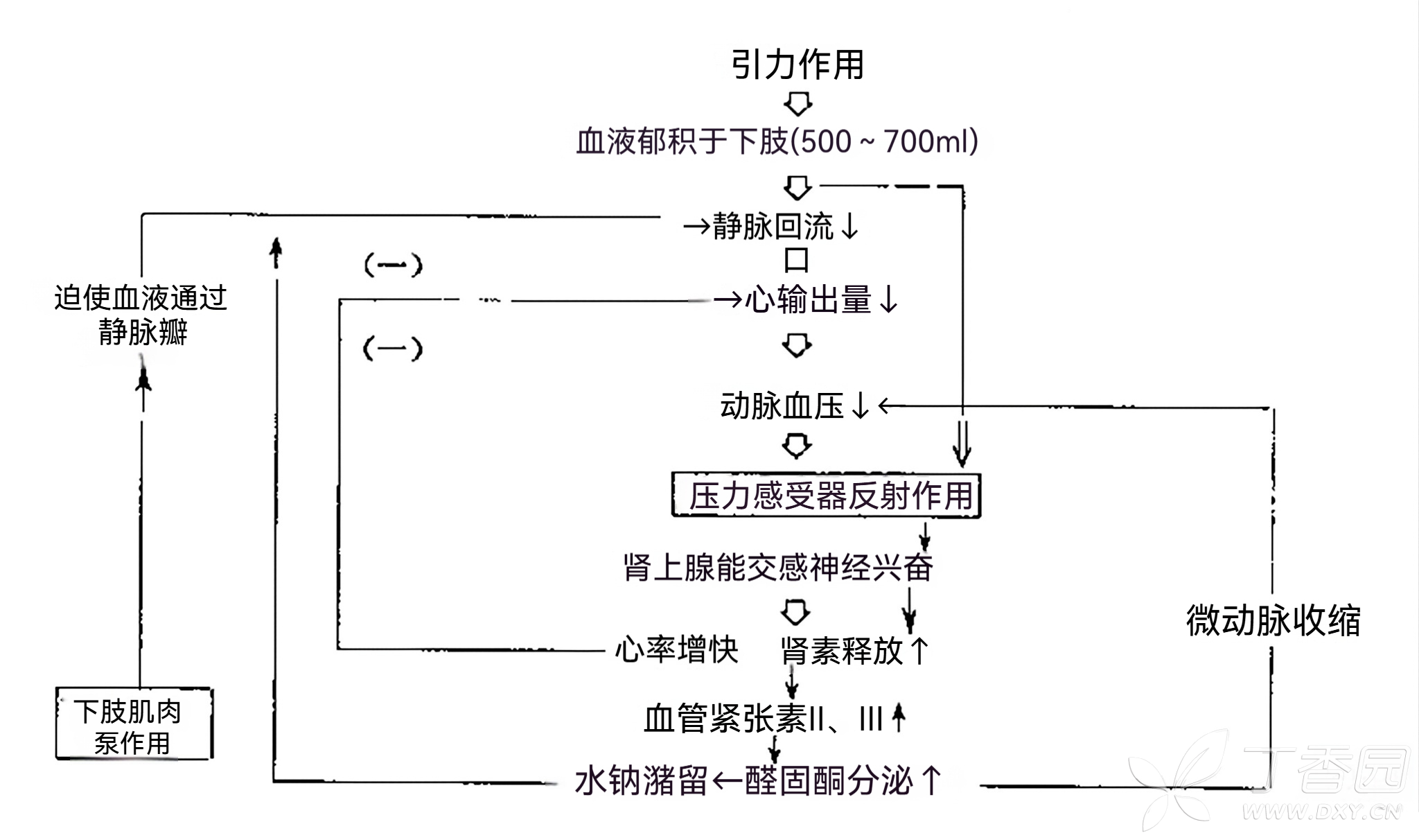 图片预览
