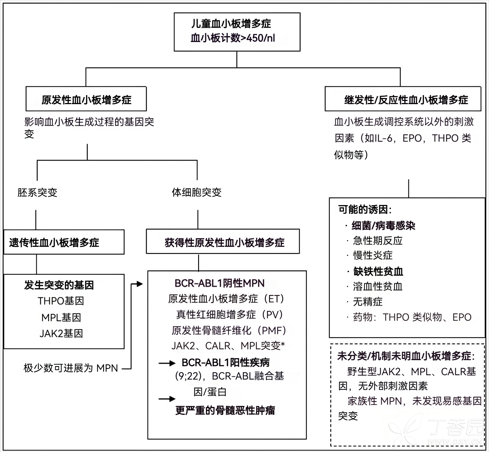 图片预览