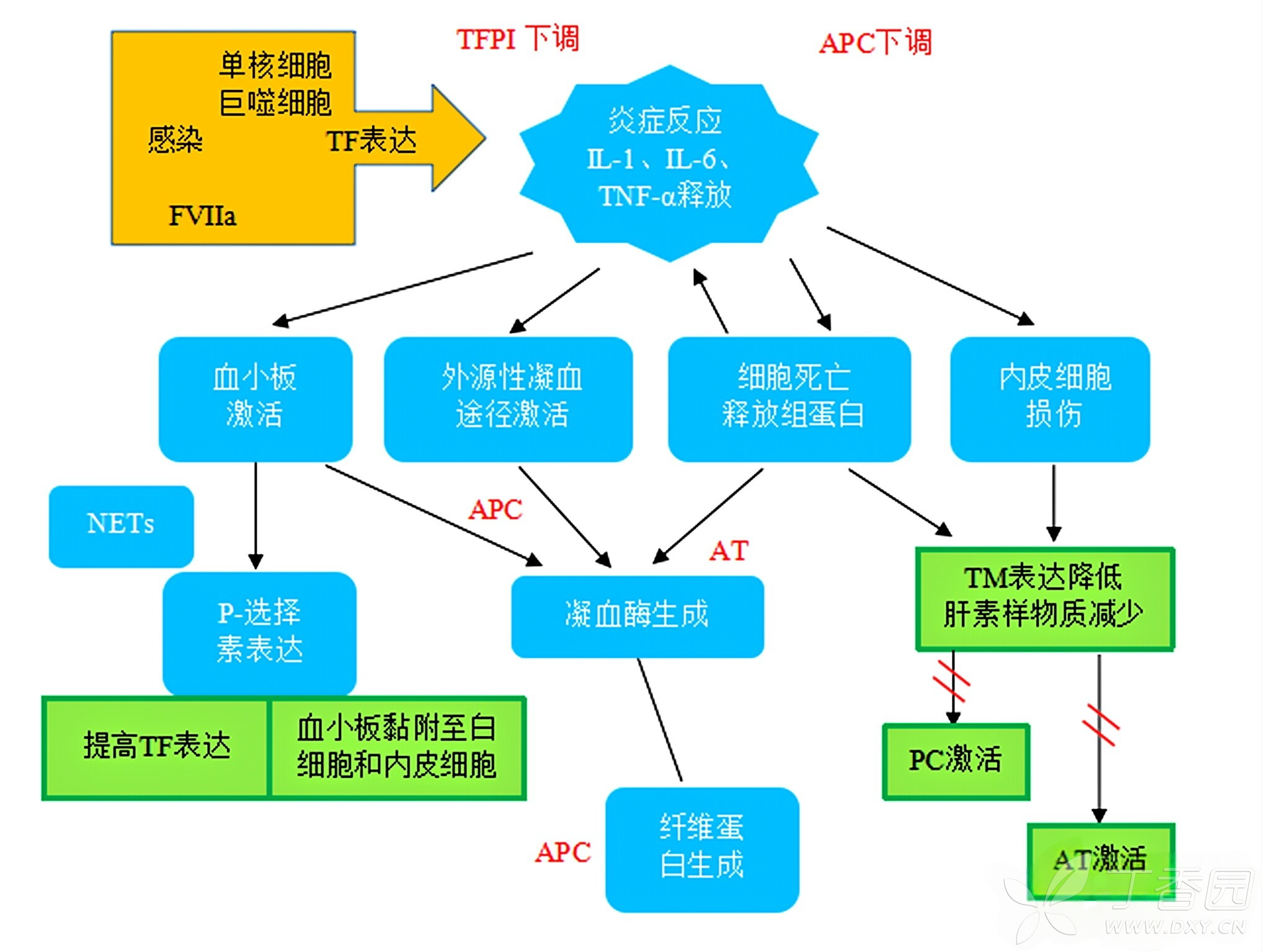 图片预览